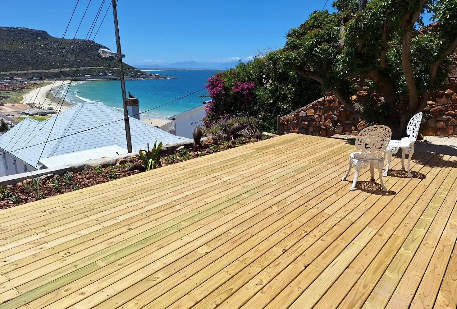 Watching Waves, Heron Chase Fish Hoek